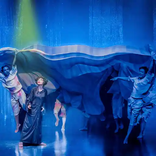 enjoy the world-famous Calypso Cabaret Show, a glamorous, high-energy production performed by talented Thai transgender artists.